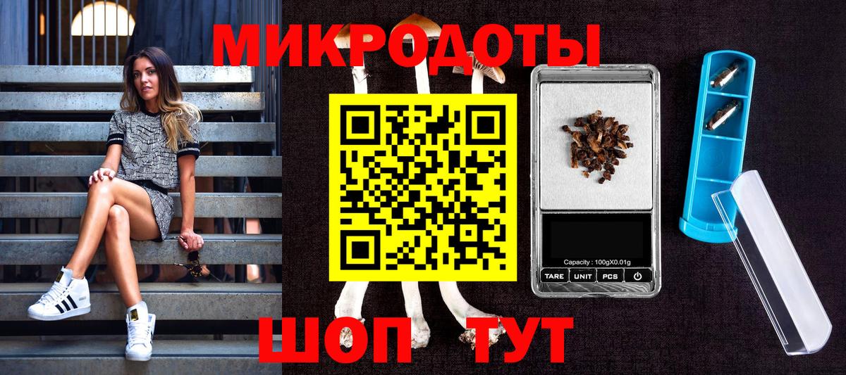 Псилоцибиновые грибы GOLDEN TEACHER Саров