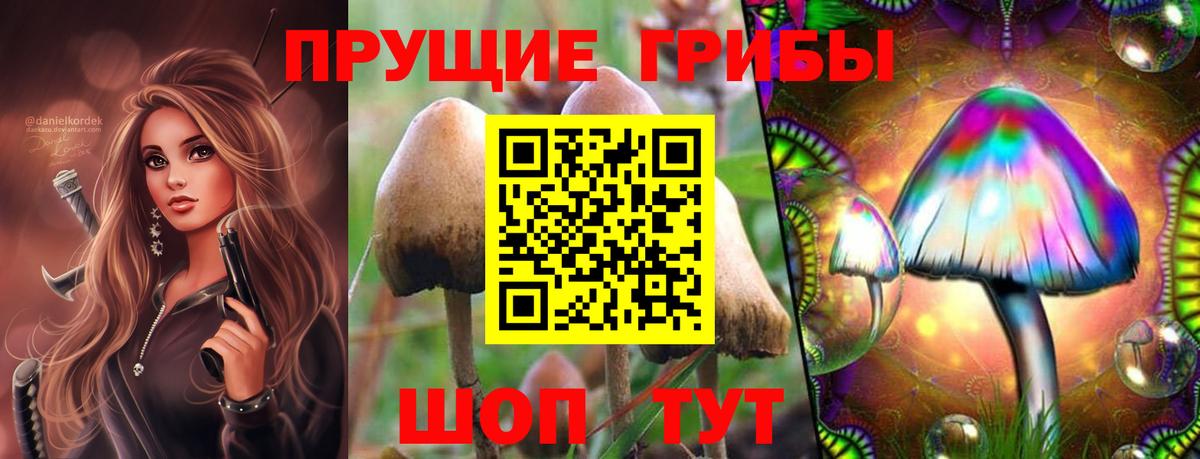 Галлюциногенные грибы мухоморы  Галлюциногенные грибы MAGIC MUSHROOMS  хочу   Саров  Вход с VPN 